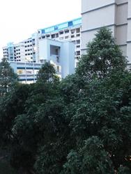 Blk 787B Woodlands Crescent (Woodlands), HDB 4 Rooms #141505172